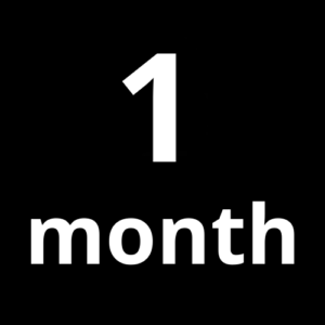1 Month Subscription