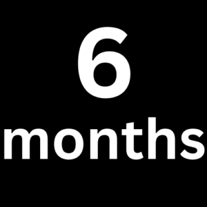 6 Months Subscription